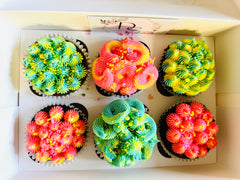 Cupcake Boxes